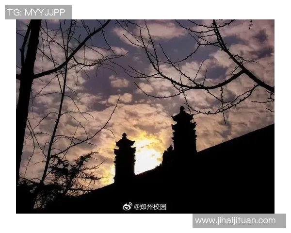 周磊独家分享乒乓球技巧与心得助你提升球技的全方位指南