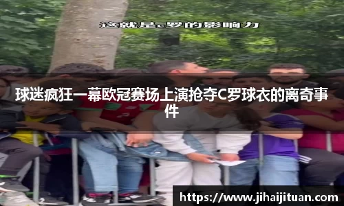 BB贝博登录入口