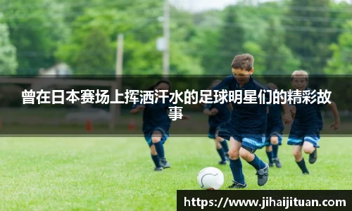 BB贝博登录入口